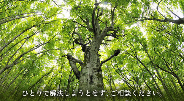 夜間診療も受付しています。