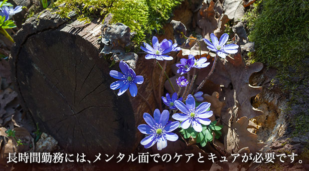 ひとりで解決しようとせず、ご相談ください。